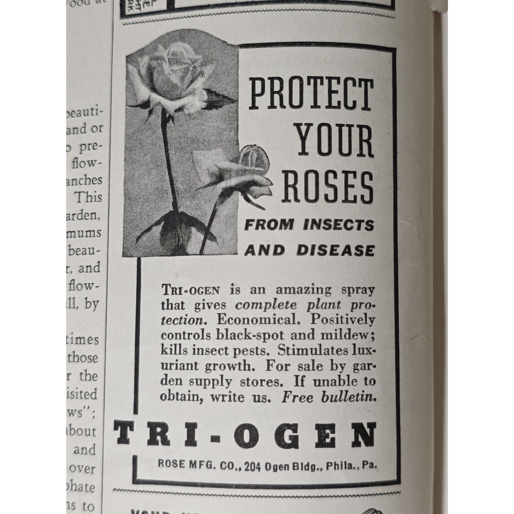1939 Vintage Triogen Rose Insect Disease Protection Spray Advertisement